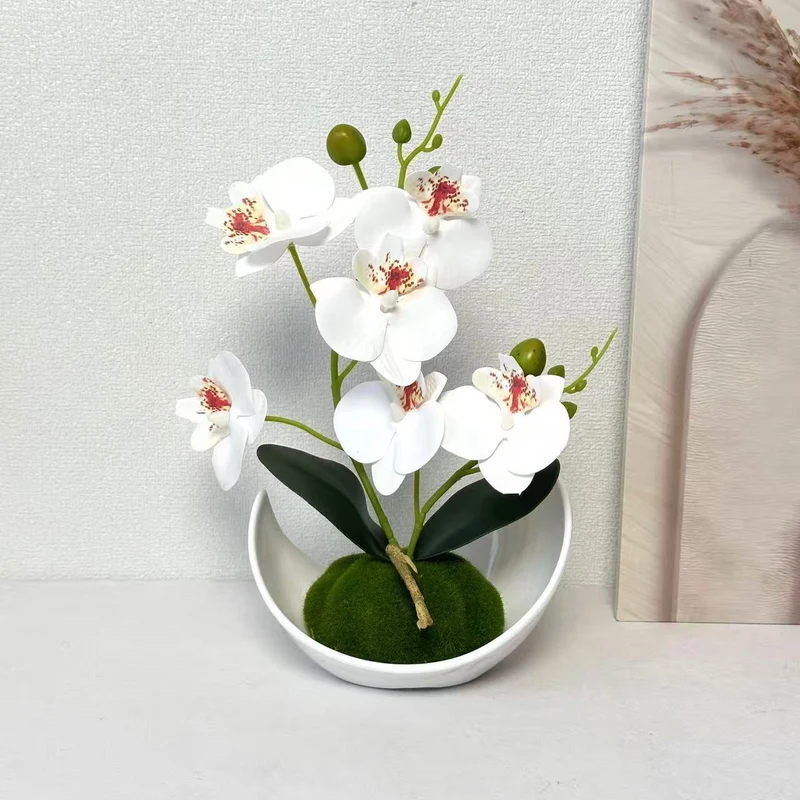 Orchideen Dekorativer Mittelpunkt