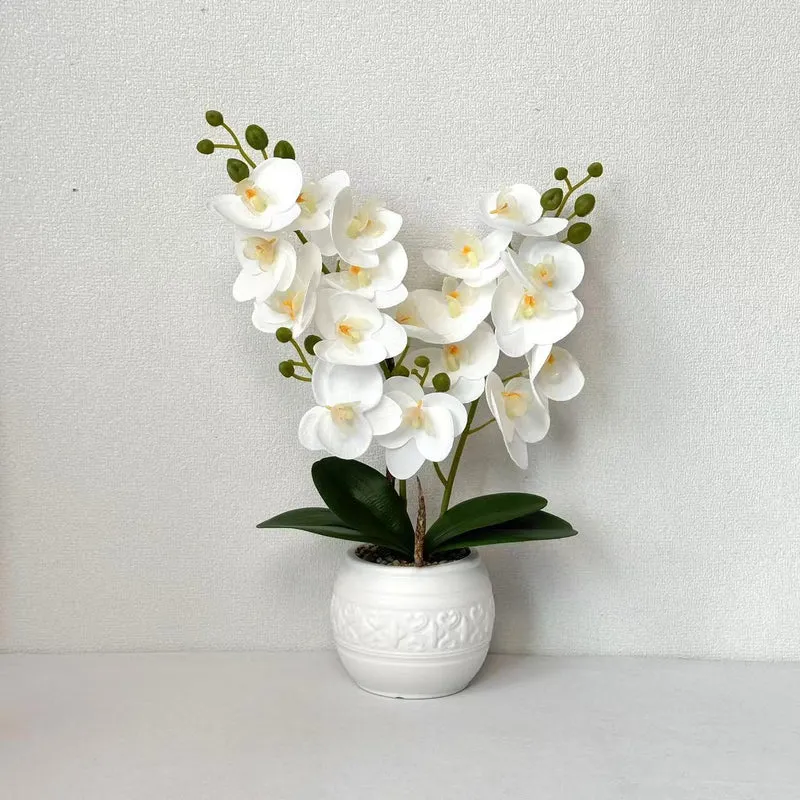 Dekorative Orchidee für Tischdekoration