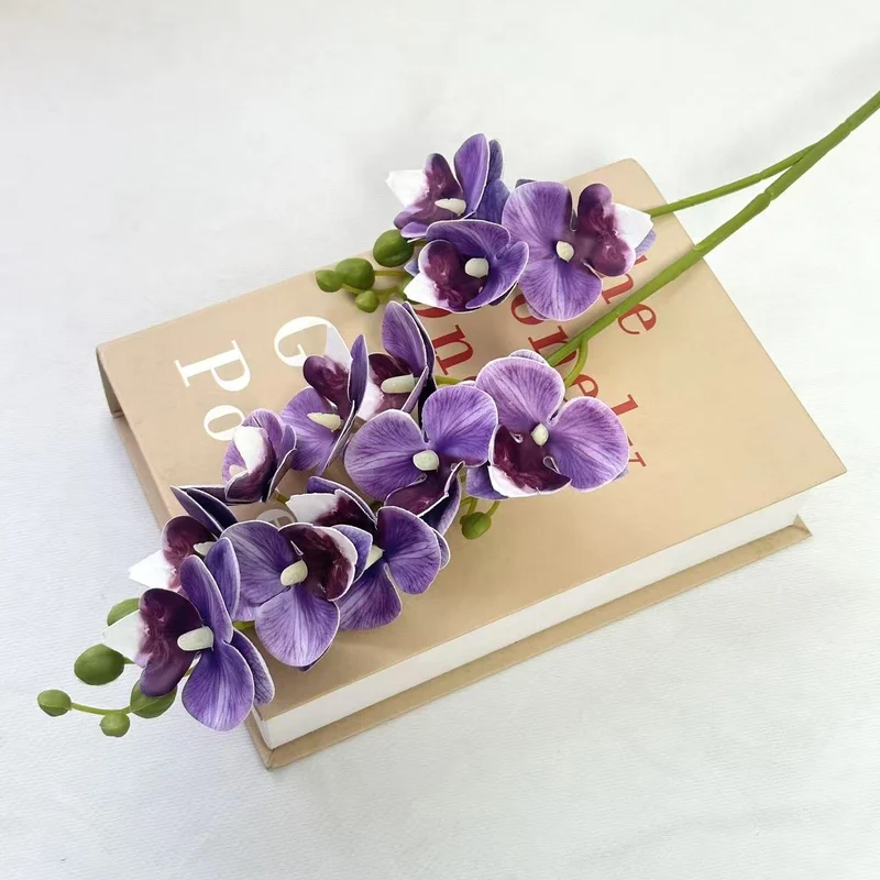 Dekorative Orchidee für die Innenraumgestaltung