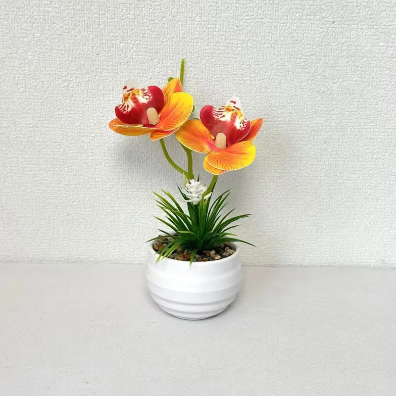 Dekorative Miniaturorchideen-Tischdekoration
