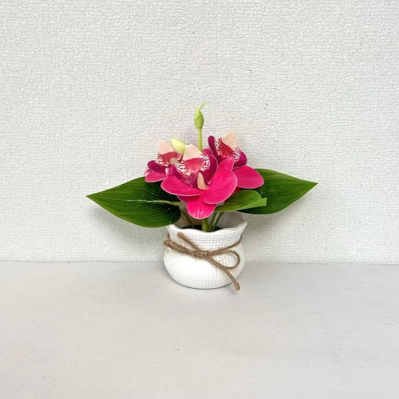 Dekorative Miniatur-Orchideen-Arrangement