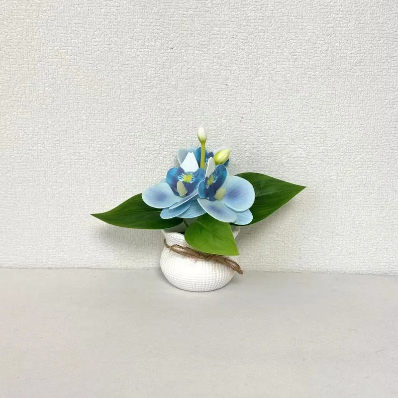 Dekorative Miniatur-Orchideen-Arrangement