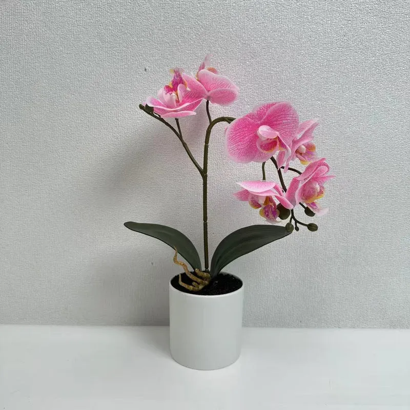 Lifelike Phalaenopsis-Orchideenpflanzenanordnung