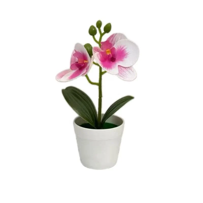 Künstliche Orchideenpflanze für dekorative Wohnanzeige und Styling