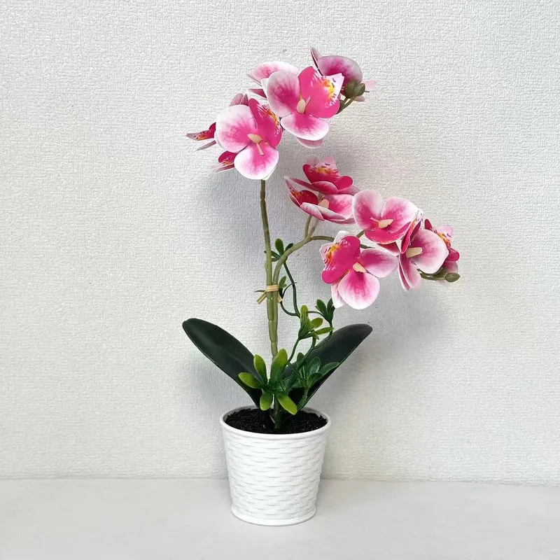 Künstliche Orchideenarrangement für dekorative Innenausstellung