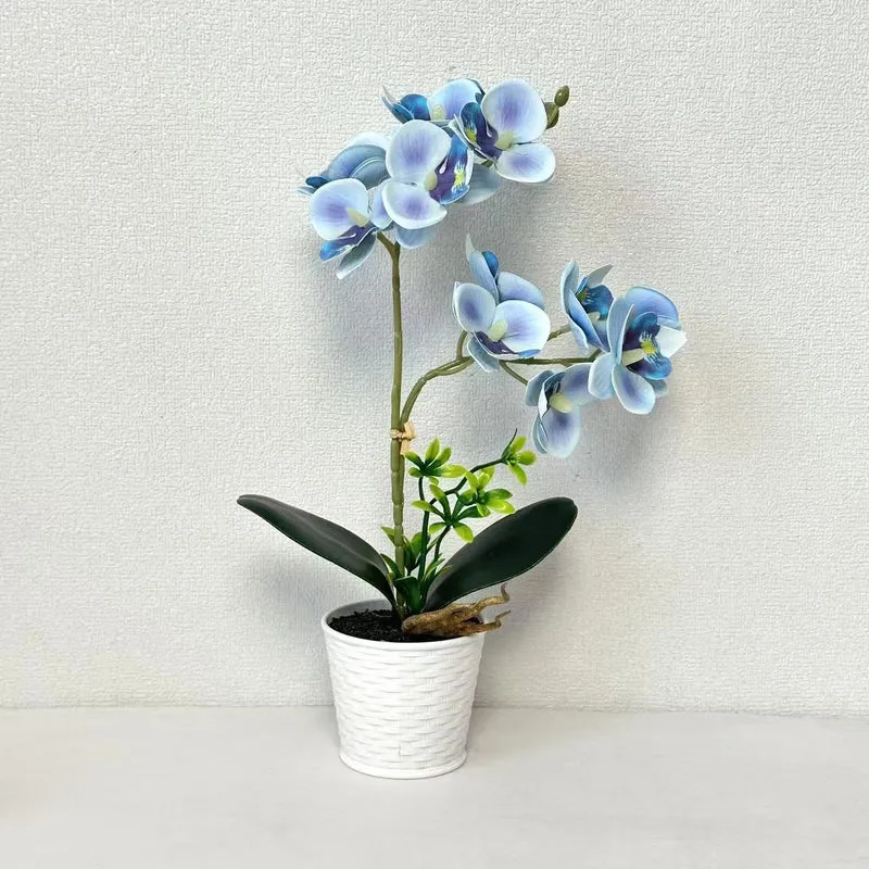 Künstliche Orchideenarrangement für dekorative Innenausstellung