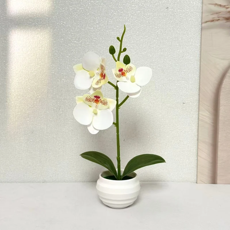 Elegante dekorative Orchideenpflanzenanordnung für die Wohnkultur