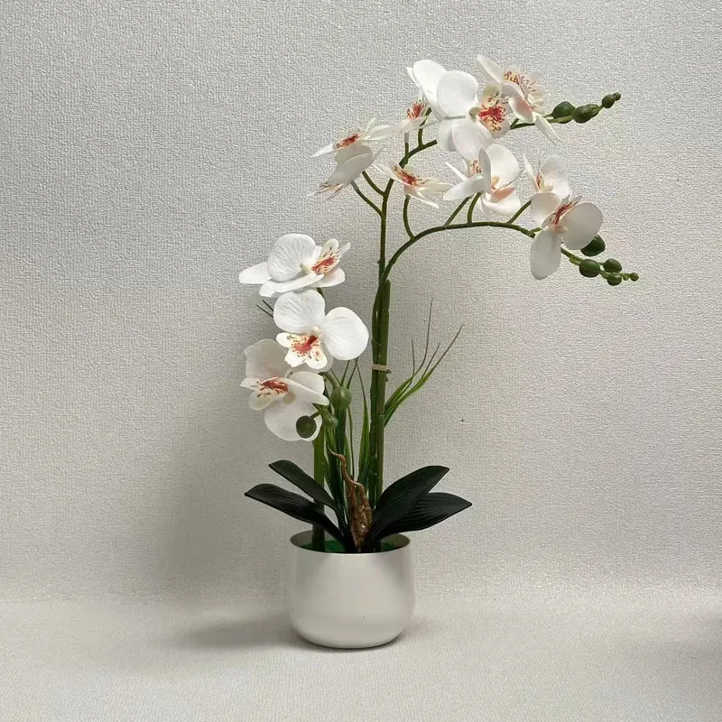 Exquisite Künstlicher Orchideen Ausstellung