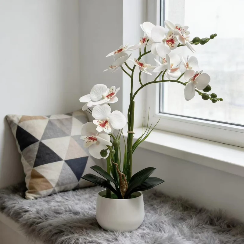 Exquisite Künstlicher Orchideen Ausstellung