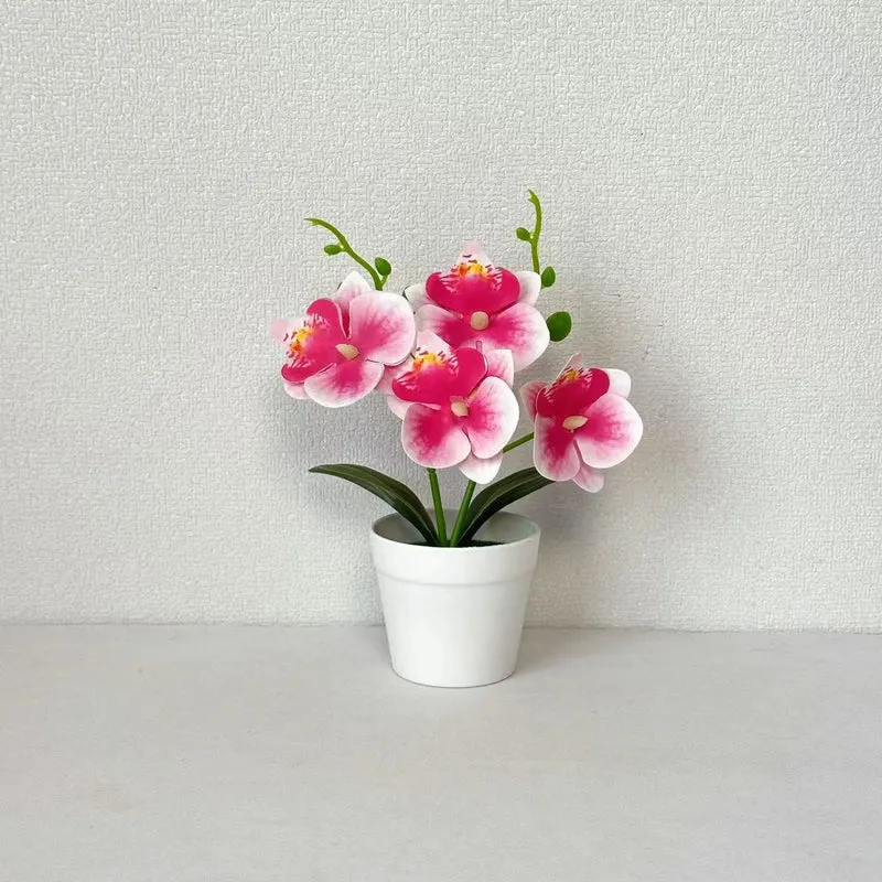 Elegante dekorative Orchideen-Blumenarrangement für die Wohnungseinrichtung