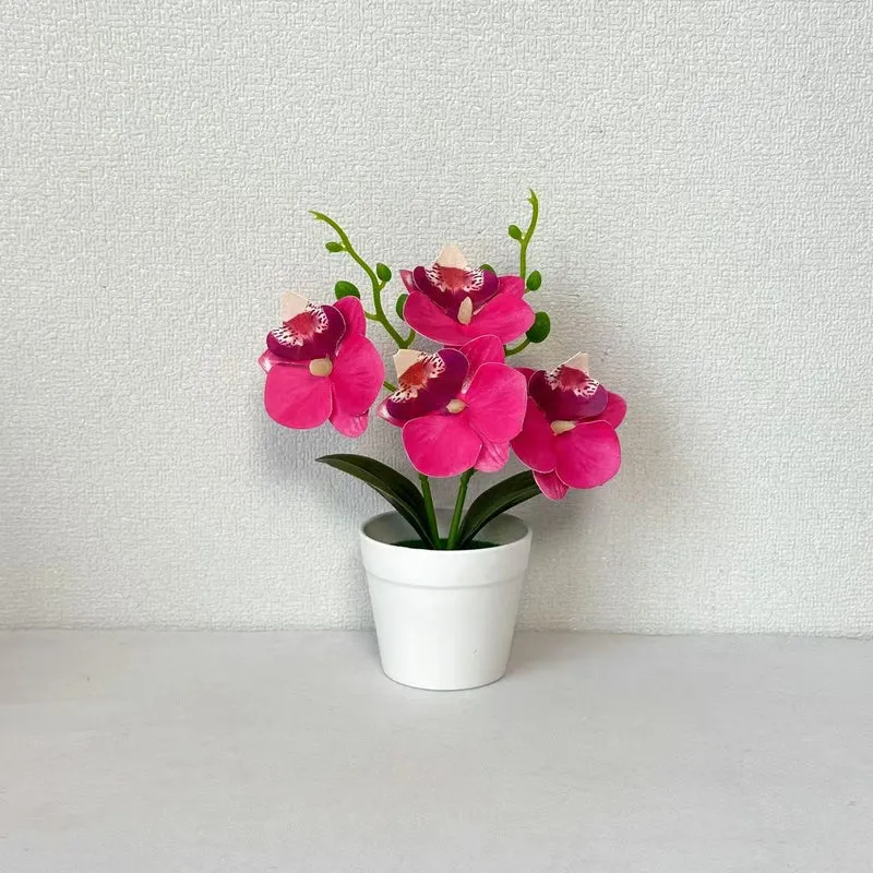 Elegante dekorative Orchideen-Blumenarrangement für die Wohnungseinrichtung