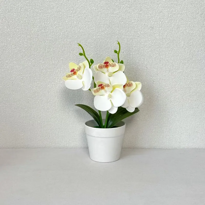 Elegante dekorative Orchideen-Blumenarrangement für die Wohnungseinrichtung