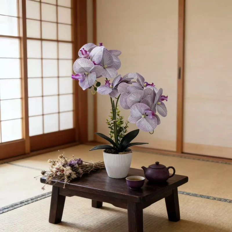 Elegante Orchideenpflanzenanordnung
