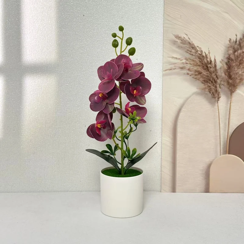 Elegante Orchideen Floral Centerpiece