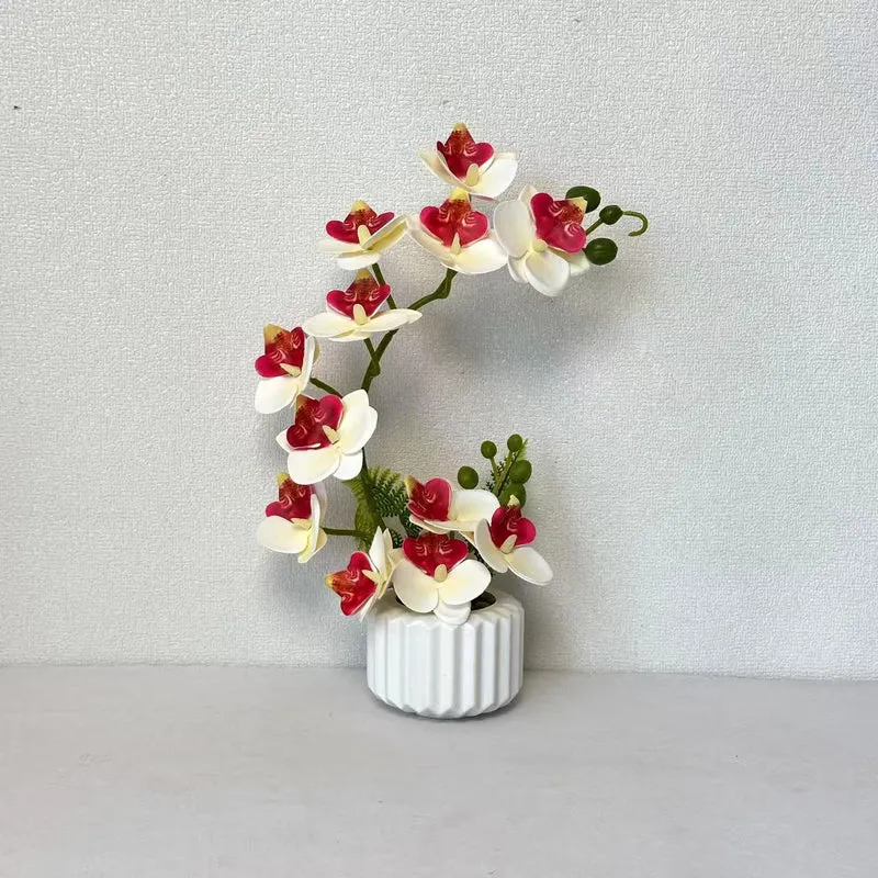 Elegante Orchideenblumenarrangement