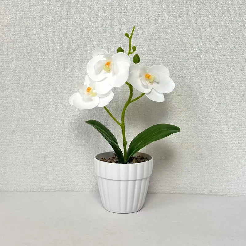 Dekorative Künstliche Orchideenarrangement für Dekorative Wohnraum Präsentation