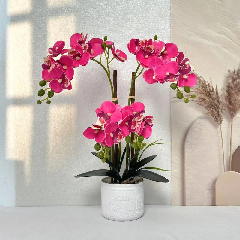 Dekorative Topfpflanzen-Orchideen-Anordnung für Tischdeko