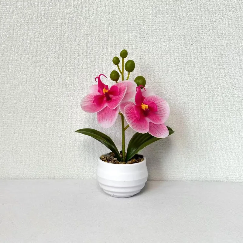 Dekorative Orchideen-Topf