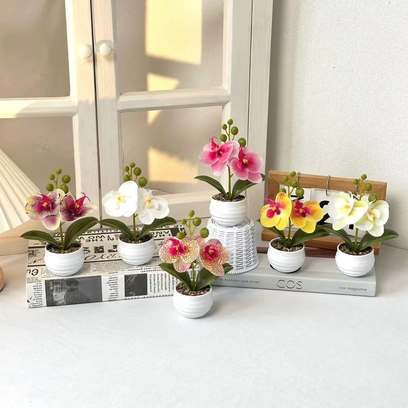 Dekorative Orchideen-Topf