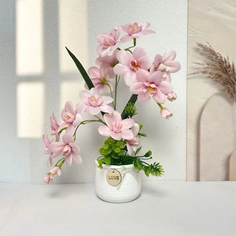 Dekorative Orchideenpflanze Anzeige