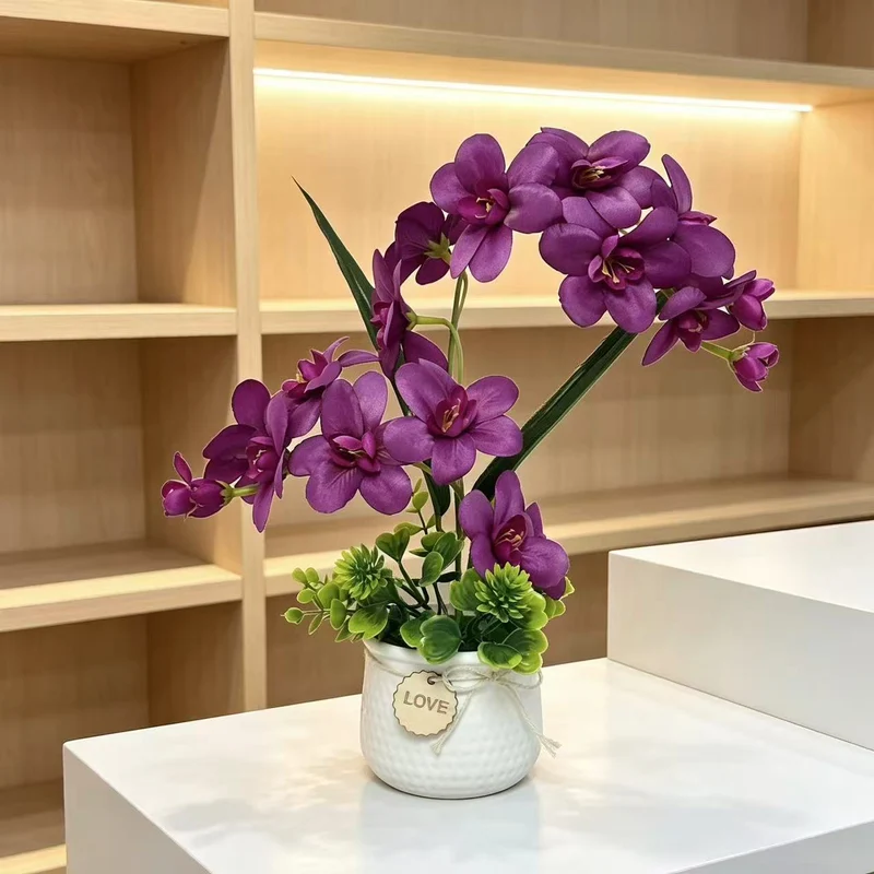 Dekorative Orchideenpflanze Anzeige