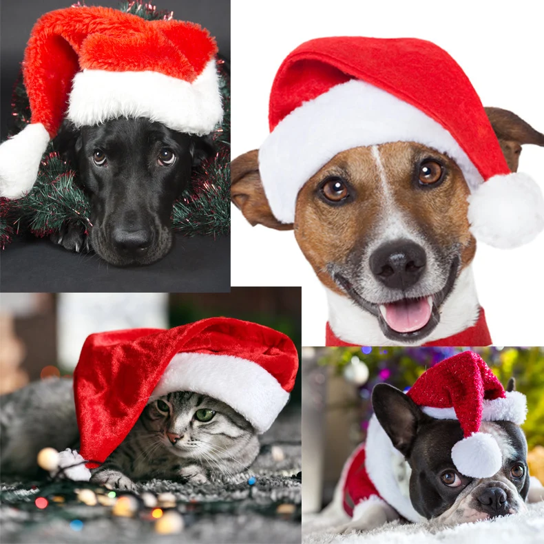Weihnachtsmannhut für Hunde