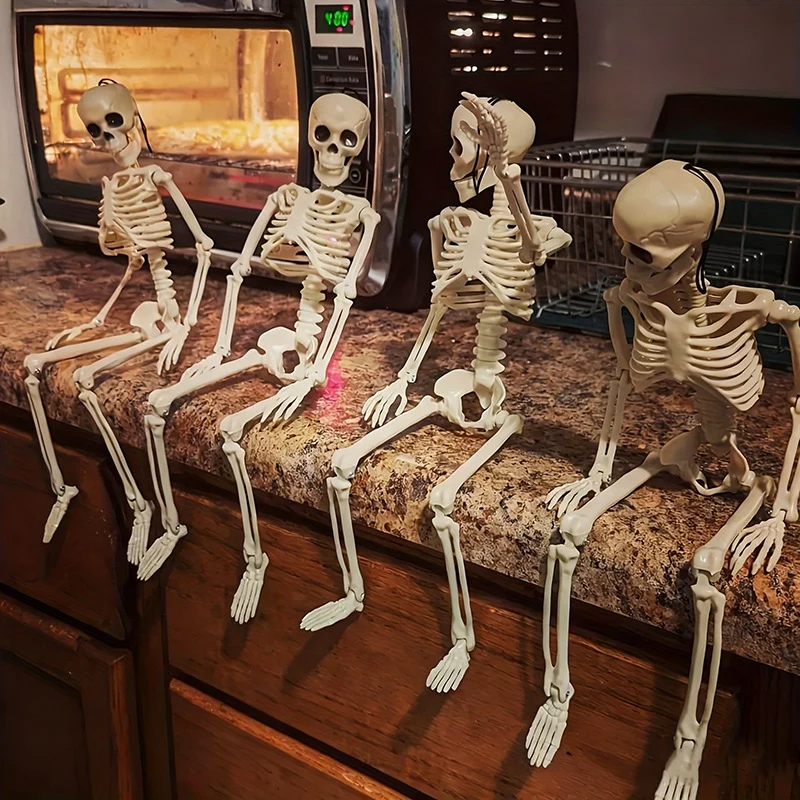 Anatomisches Lehrskelett