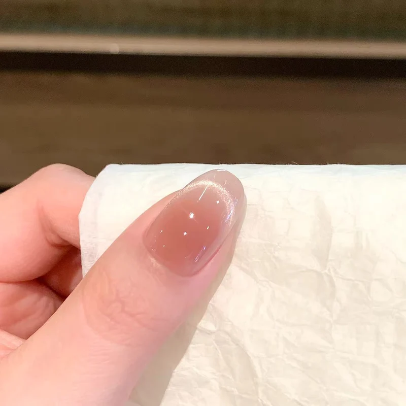 Premium Ombre Nagelkunstverlängerungen
