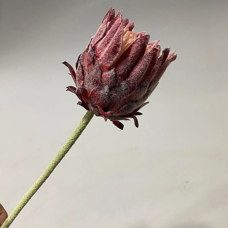 Lebensechter Protea Blumenstängel