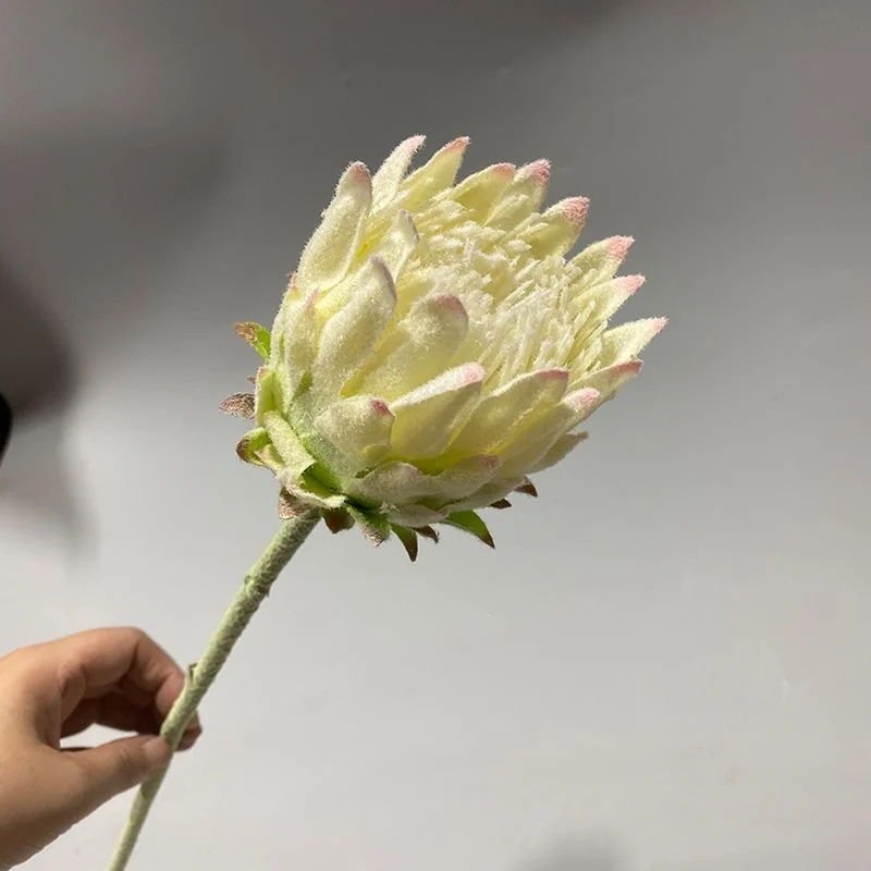 Lebensechter Protea Blumenstängel
