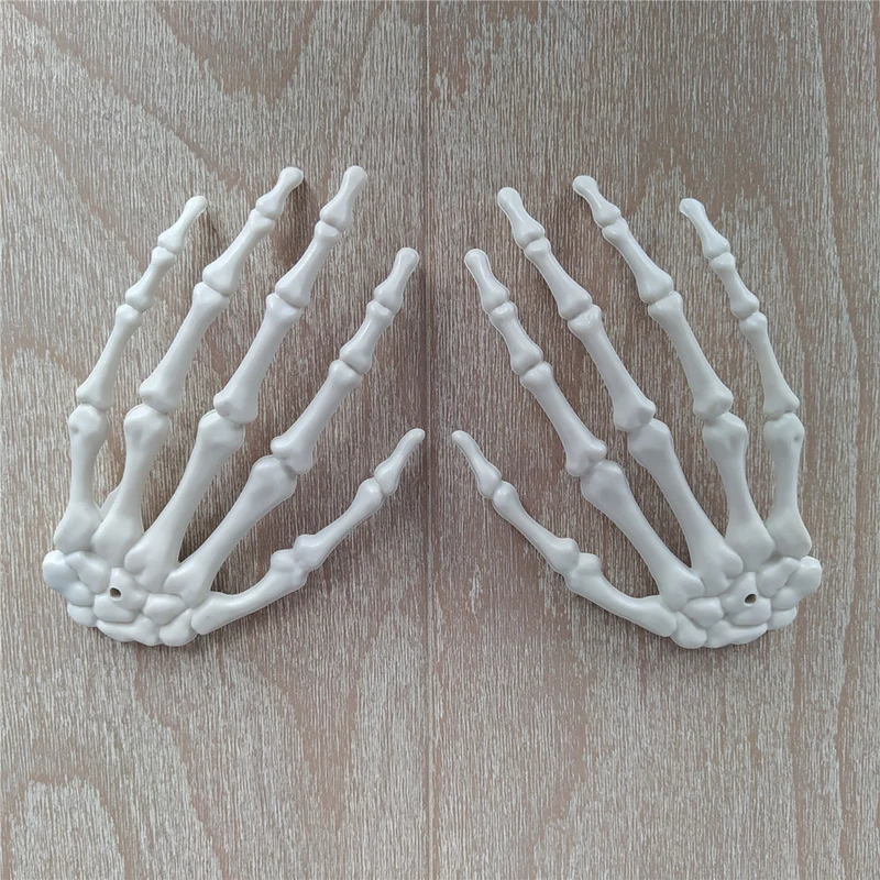 Anatomisches Hand-Skelettmodell Karnz