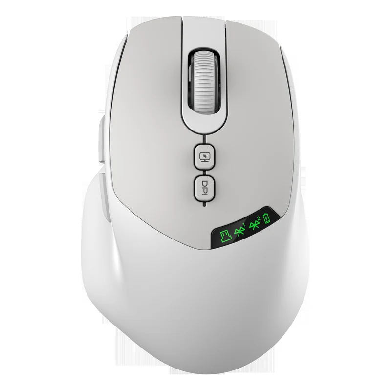 Ergonomische Funkmaus Karnz