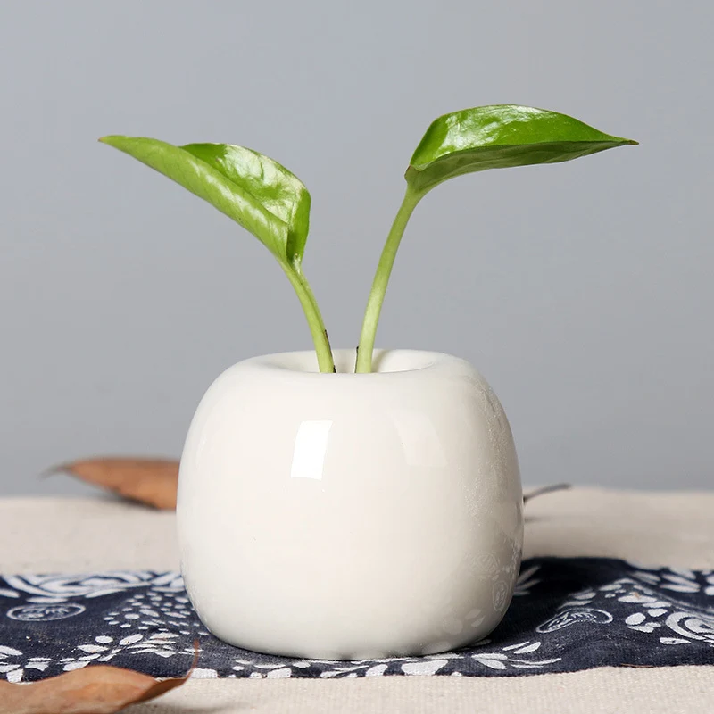 Künstlerischer Keramik-Apfel-förmiger Blumentopf Karnz