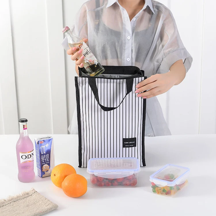 Stylische isolierte Lunch-Kühltasche Karnz