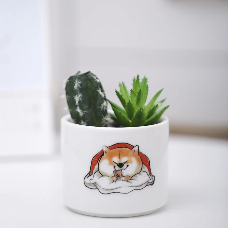 Niedlicher Tier-Themen-Sukkulenten-Planter Karnz