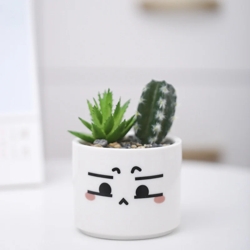 Niedlicher Tier-Themen-Sukkulenten-Planter Karnz