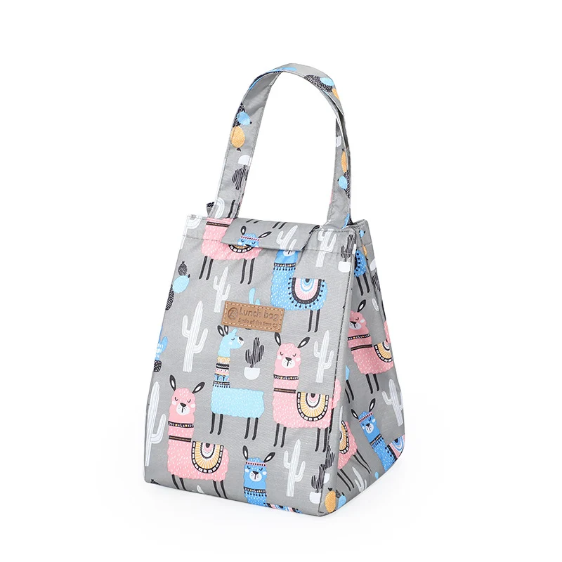 Spaß-Themen Isolierte Lunch-Tasche Karnz