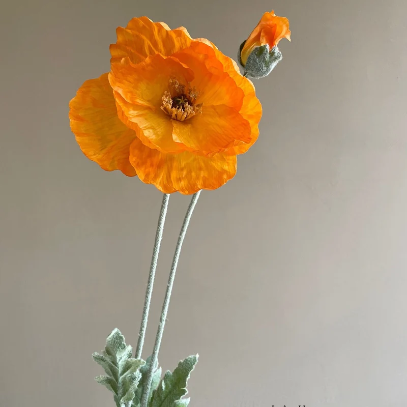Lebensechter Mohnblumenstiel