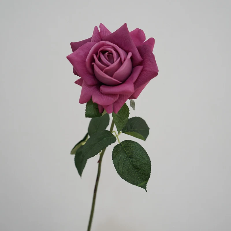 Lebensnahe Gartenrose Stiel