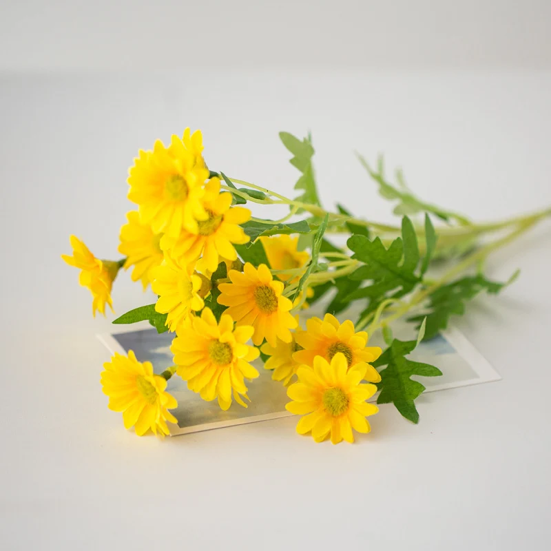 Lebensnahe Daisy Blumenspross