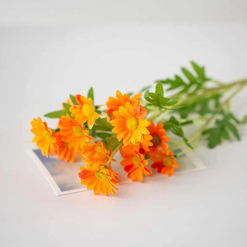 Lebensnahe Daisy Blumenspross