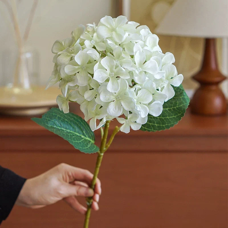Hydrangea Dekorativer Floraler Stiel