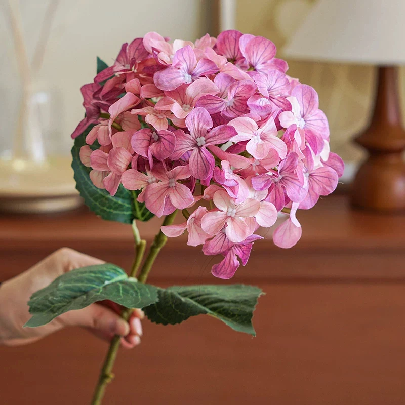 Hydrangea Dekorativer Floraler Stiel