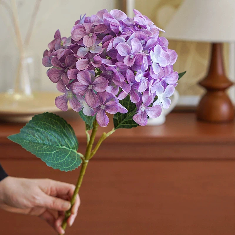 Hydrangea Dekorativer Floraler Stiel