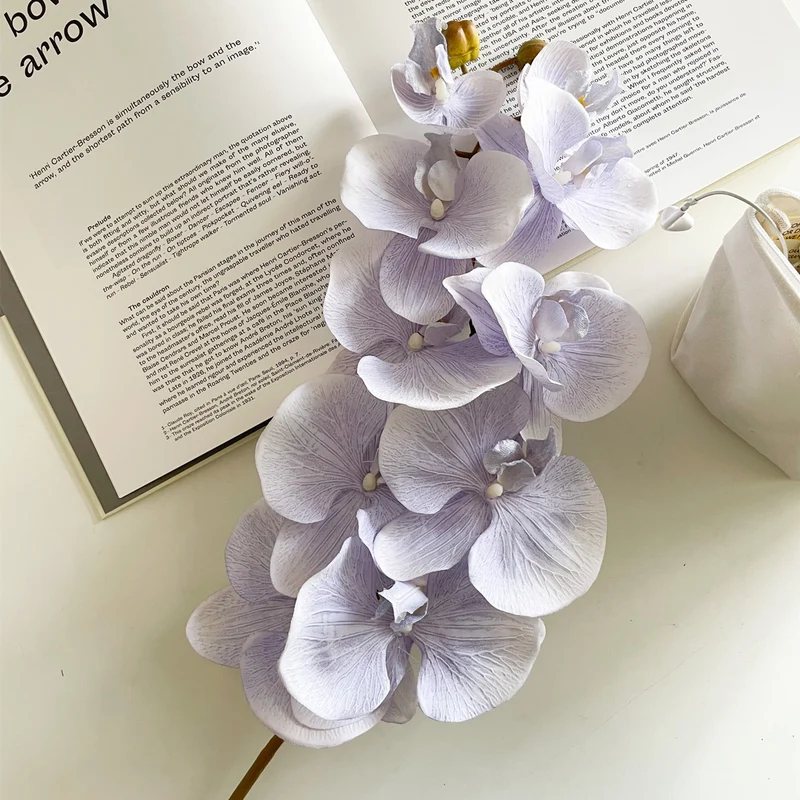 Elegante Orchidee Stiel