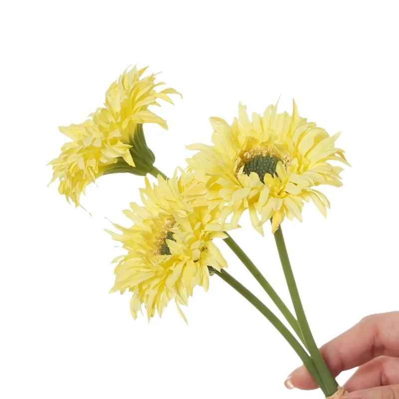Lebensnahe Gerbera-Daisy-Stängel
