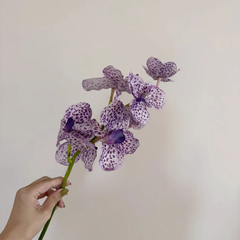 Elegante Künstliche Orchideenstängel