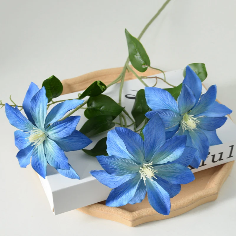 Dekorativer floraler Clematis-Stängel