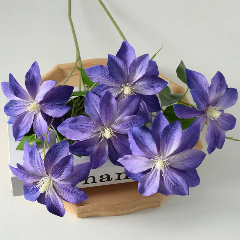 Dekorativer floraler Clematis-Stängel