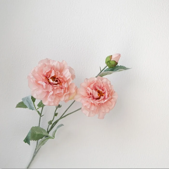 Realistische Pfingstrose Blumenstiel